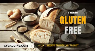 Is Montina Gluten-Free? Unveiling the Truth About This Ancient Grain