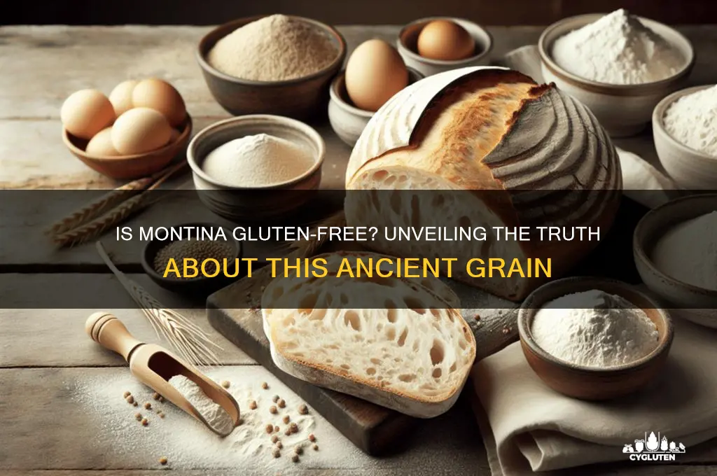 is montina gluten free