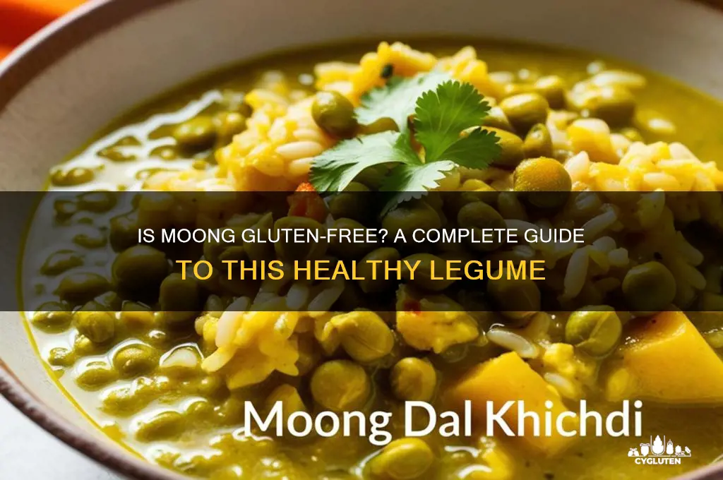 is moong gluten free