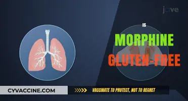 Is Morphine Gluten-Free? Essential Facts for Patients with Celiac Disease