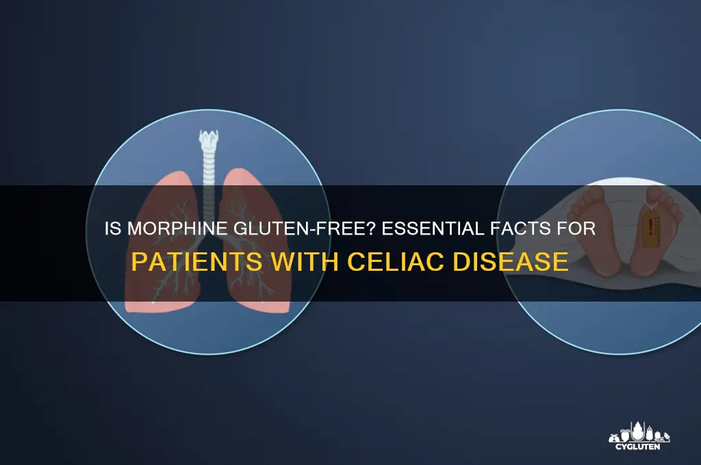 is morphine gluten-free