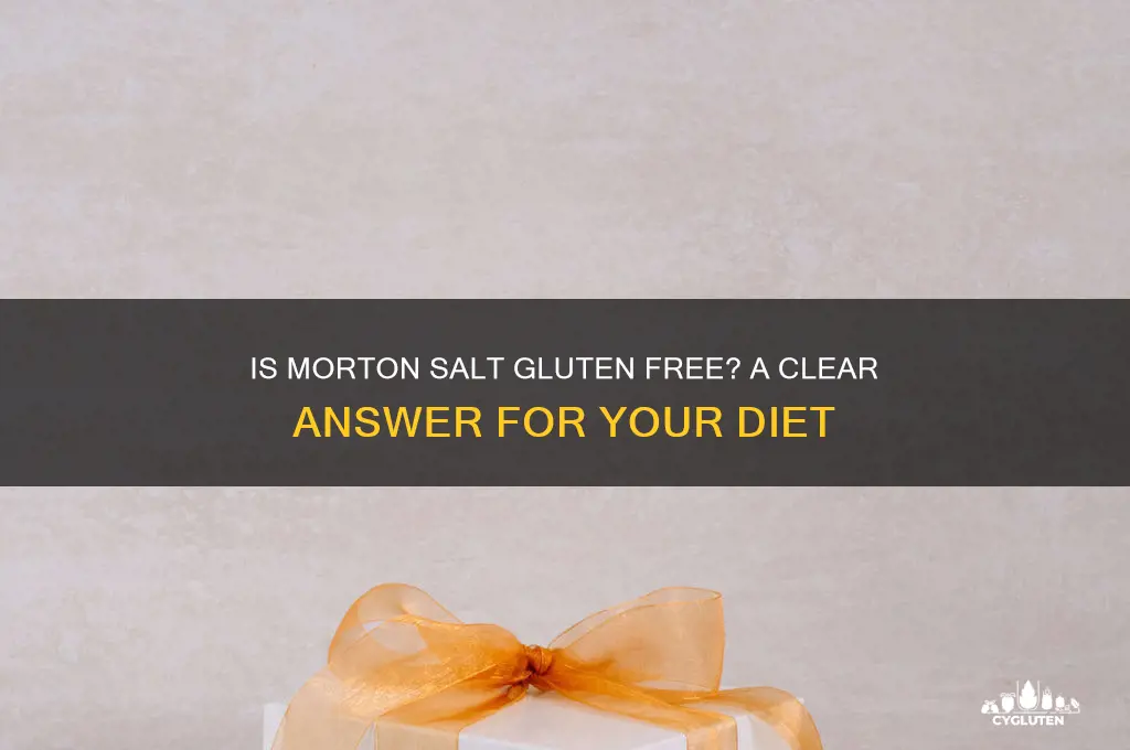 is morton salt gluten free