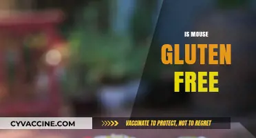 Is Mouse Gluten Free? Unraveling the Truth Behind the Myth