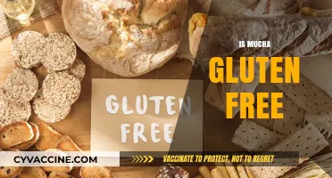 Is Mucha Gluten Free? Exploring Ingredients and Safe Options