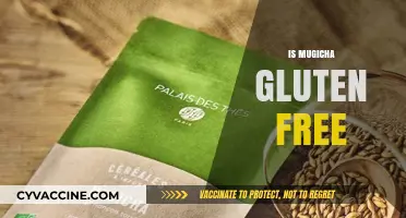 Is Mugicha Gluten Free? Exploring the Barley Tea Debate