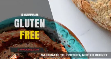 Is Muhammara Gluten-Free? A Delicious Dip's Dietary Details Revealed