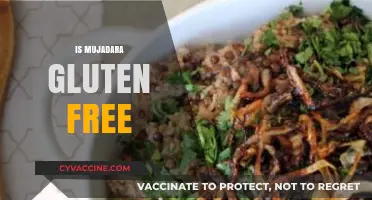 Is Mujadara Gluten-Free? A Complete Guide to This Middle Eastern Dish
