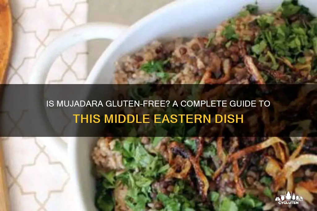 is mujadara gluten free