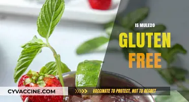 Is Mule 20 Gluten-Free? Unraveling the Ingredients and Facts