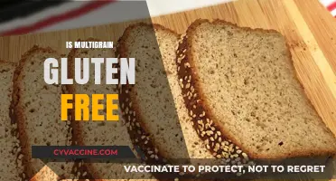 Is Multigrain Gluten-Free? Understanding Grains and Gluten Content