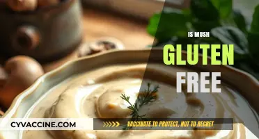 Is Mush Gluten Free? Exploring Ingredients and Safe Options