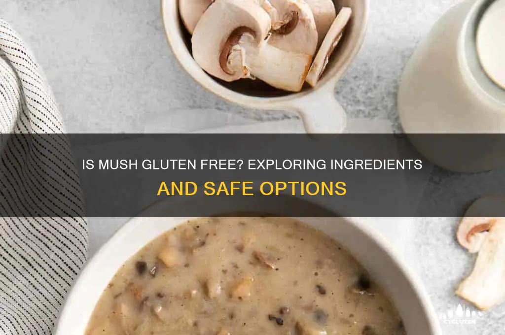 is mush gluten free