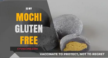 Is My Mochi Gluten Free? A Comprehensive Guide to Safe Snacking
