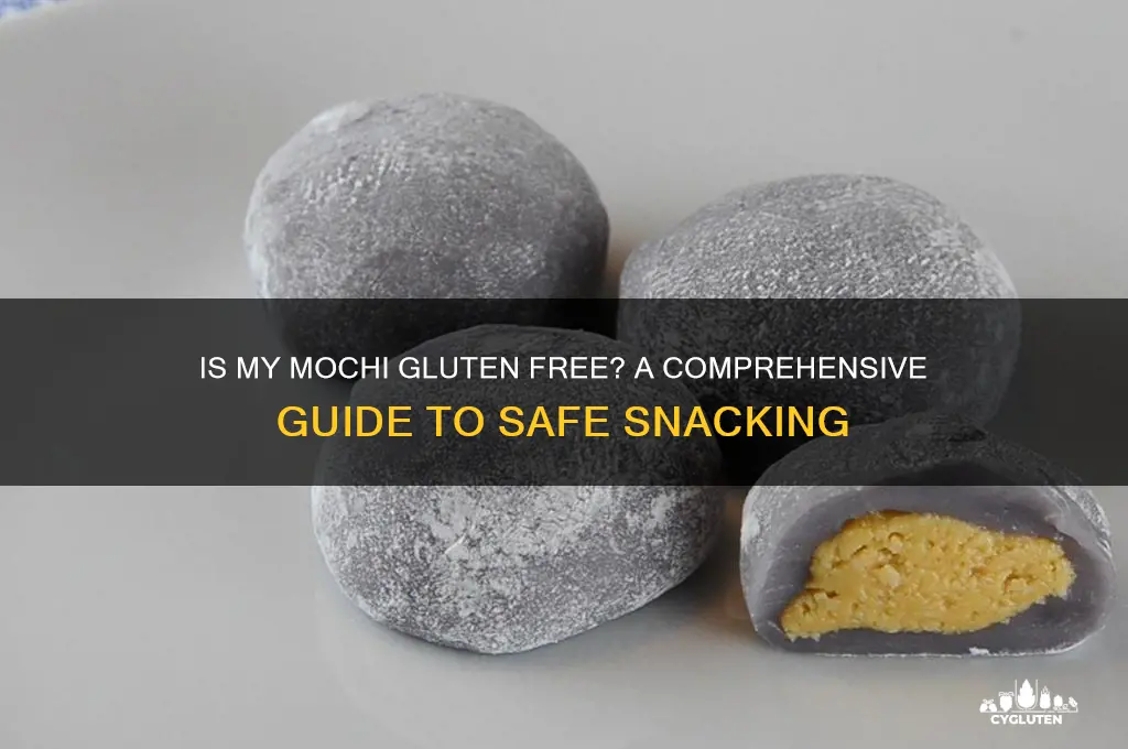 is my mochi gluten free