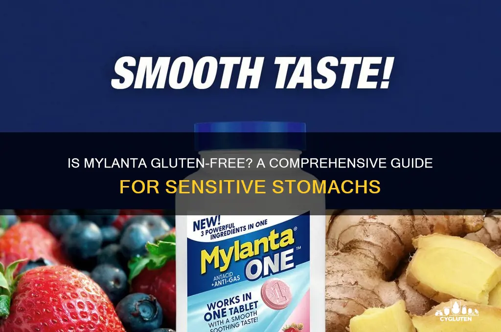 is mylanta gluten free