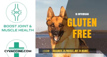 Is Myorisan Gluten-Free? A Comprehensive Guide for Dietary Concerns