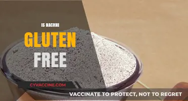 Is Nachni Gluten-Free? Unraveling the Truth About Finger Millet