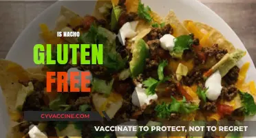 Are Nachos Gluten-Free? A Crunchy Snack Fact Check