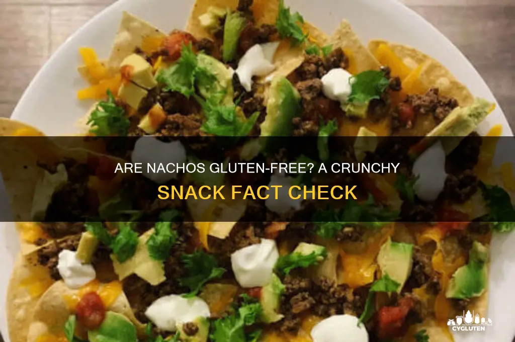 is nacho gluten free