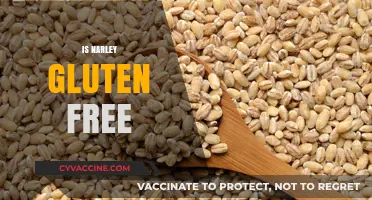 Is Narley Gluten-Free? Unraveling the Truth for Your Diet