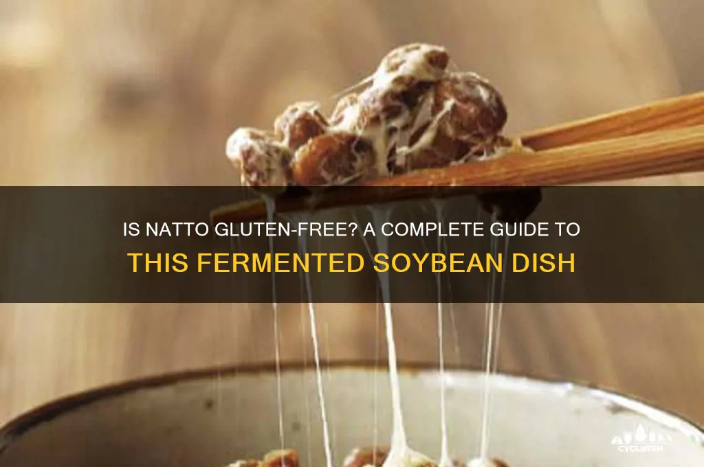is natto gluten free