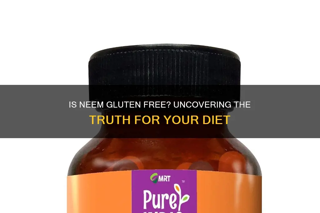 is neem gluten free
