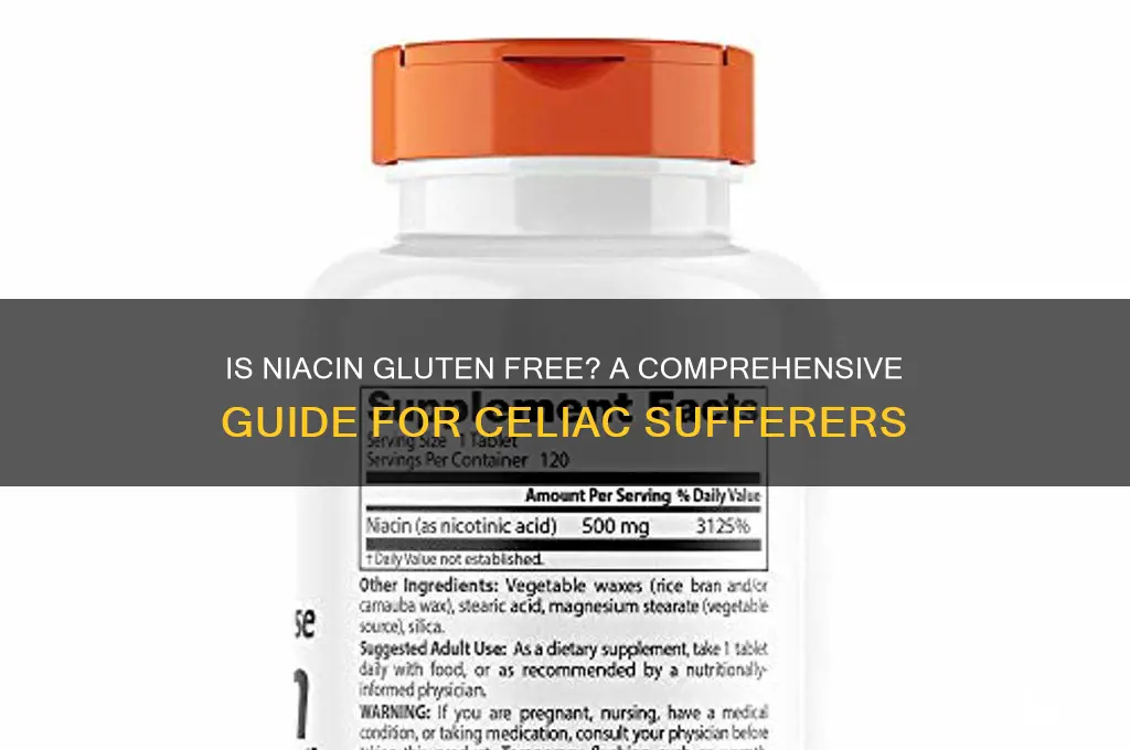 is niacin gluten free
