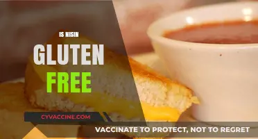 Is Nisin Gluten-Free? Exploring Food Additives and Celiac Safety