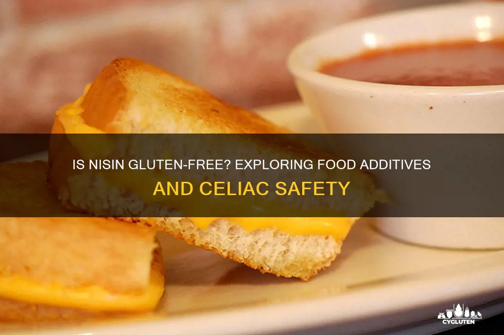 is nisin gluten free