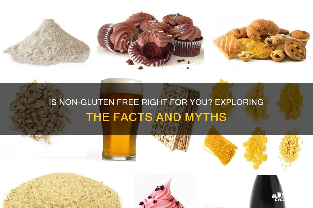 is non gluten free