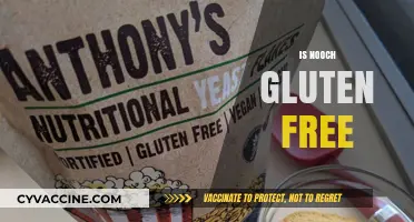 Is Nooch Gluten-Free? Nutritional Yeast Facts and Benefits Explained