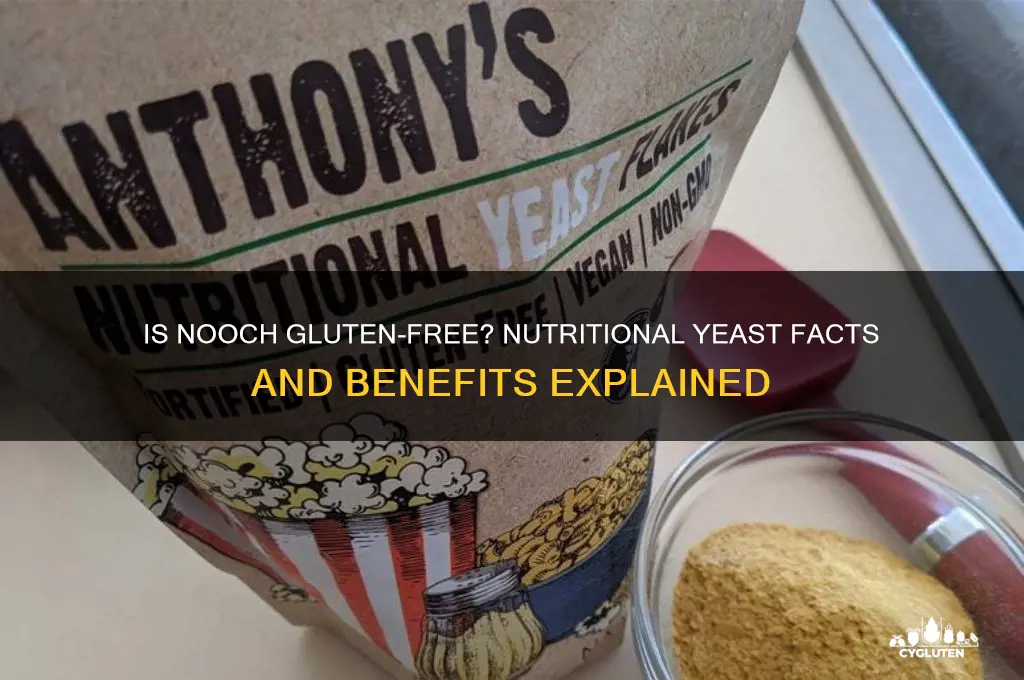is nooch gluten free