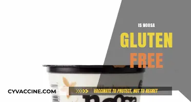 Is Noosa Gluten-Free? A Complete Guide to Noosa Yogurt