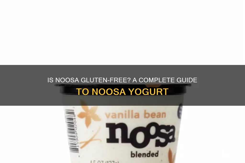 is noosa gluten free
