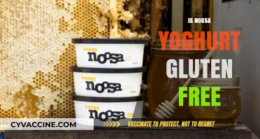 Is Noosa Yoghurt Gluten-Free? A Complete Guide for Dietary Needs