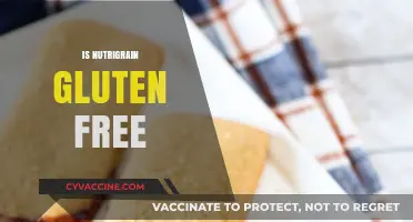 Is Nutrigrain Gluten-Free? Uncovering the Truth for Your Diet