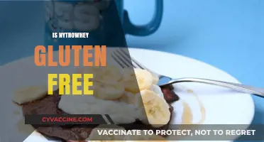 Is Nytrowhey Gluten-Free? A Comprehensive Guide to Your Protein Choice