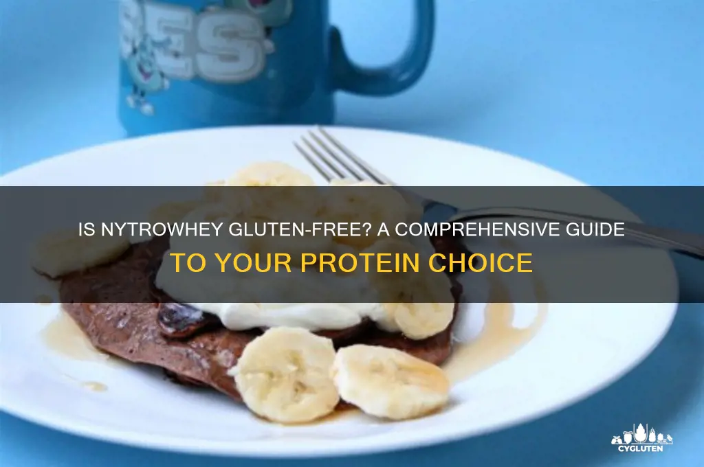 is nytrowhey gluten free