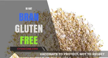 Is Oat Bran Gluten-Free? Unraveling the Truth for Celiac Diets