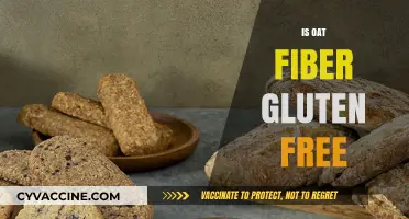 Is Oat Fiber Gluten-Free? Understanding Its Safety for Celiac Diets