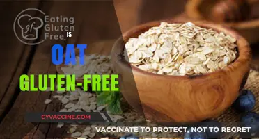 Is Oat Gluten-Free? Unraveling the Truth for Celiac Diets