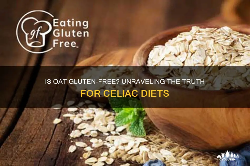 is oat gluten-free