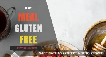 Is Oatmeal Gluten-Free? Unraveling the Truth for Celiac Diets