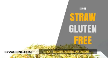 Is Oat Straw Gluten-Free? Unraveling the Truth for Sensitive Diets