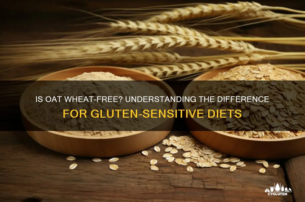 is oat wheat free