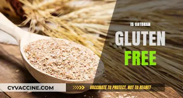 Is Oat Bran Gluten-Free? Unraveling the Truth for Celiac Diets