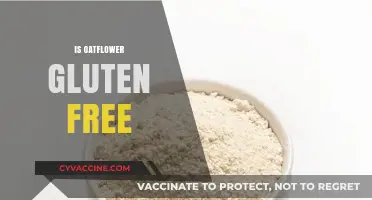 Is Oat Flour Gluten-Free? Unraveling the Truth for Celiac Diets