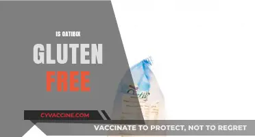 Is Oatibix Gluten-Free? A Clear Answer for Your Dietary Needs