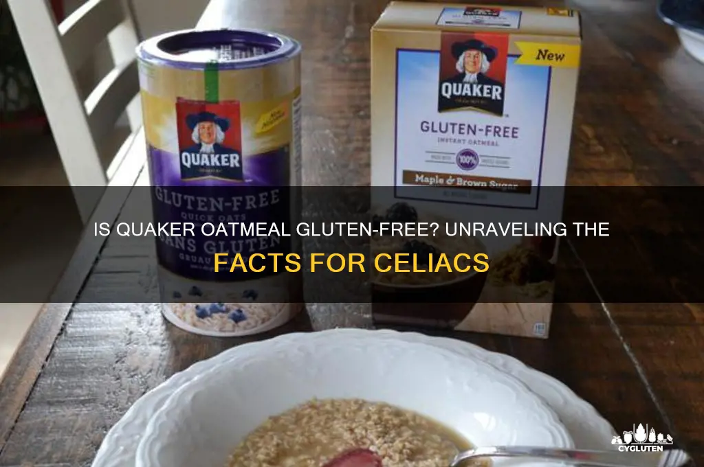 is oatmeal gluten free quaker