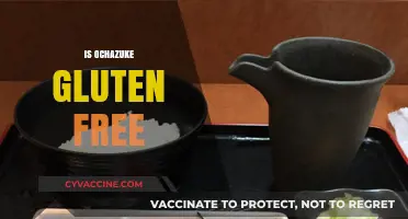 Is Ochazuke Gluten Free? A Quick Guide to This Japanese Dish